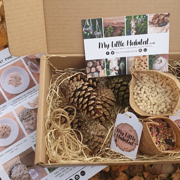 Pine Cone Bird Feeder Activity GIFT SET ( Nature | Bird | Environment | Garden | Family | Eco friendly | Children's gift | DIY Activity