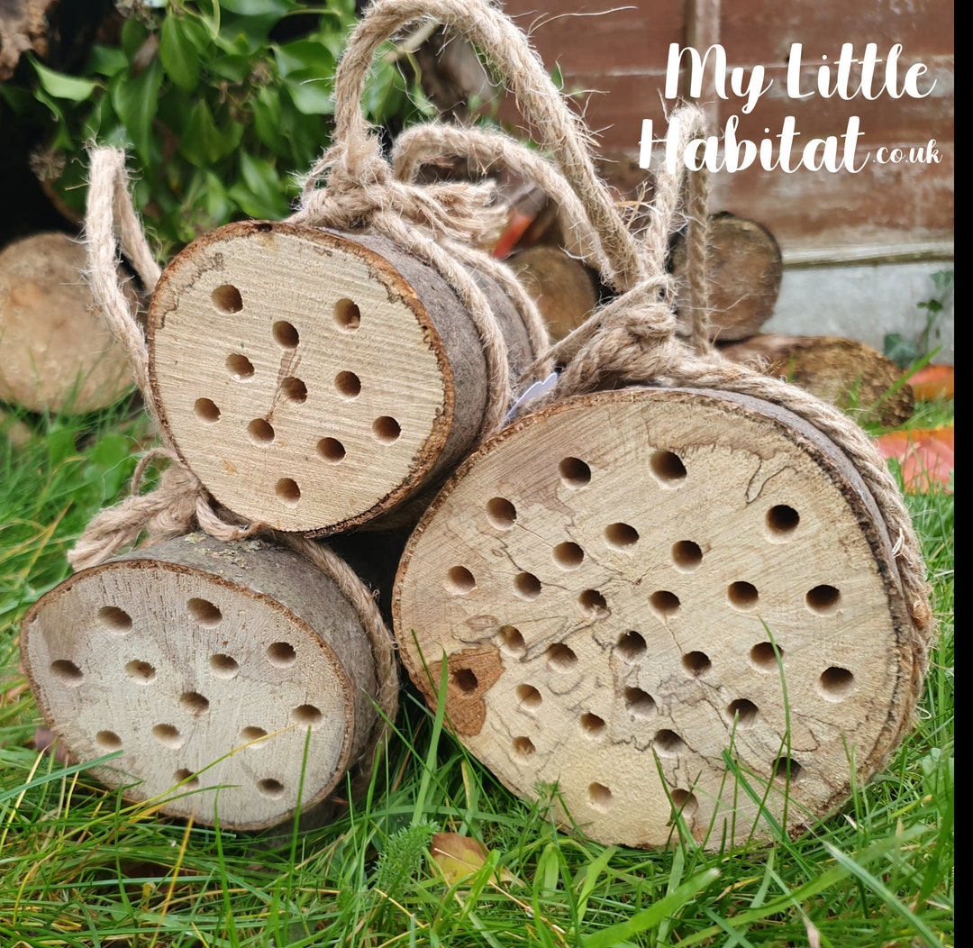 Small Bee Hotel | Solitary Bee Nest, Garden Gift - Etsy UK