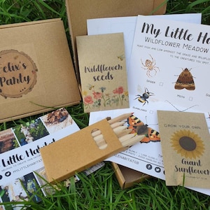 ECO PARTY BOXES | Alternative party bag | Sunflower | Wildflower | Bug hunt | Children | Kid's activity | Plastic free | Nature | Eco Favour