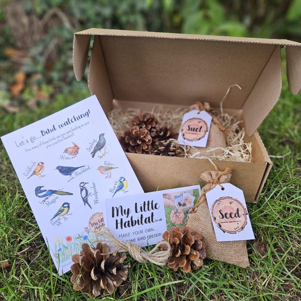 Make your own... Pine Cone Bird Feeder Activity GIFT SET ( Nature | Bird | Garden | Family | Eco friendly | Children | DIY | Grandparent
