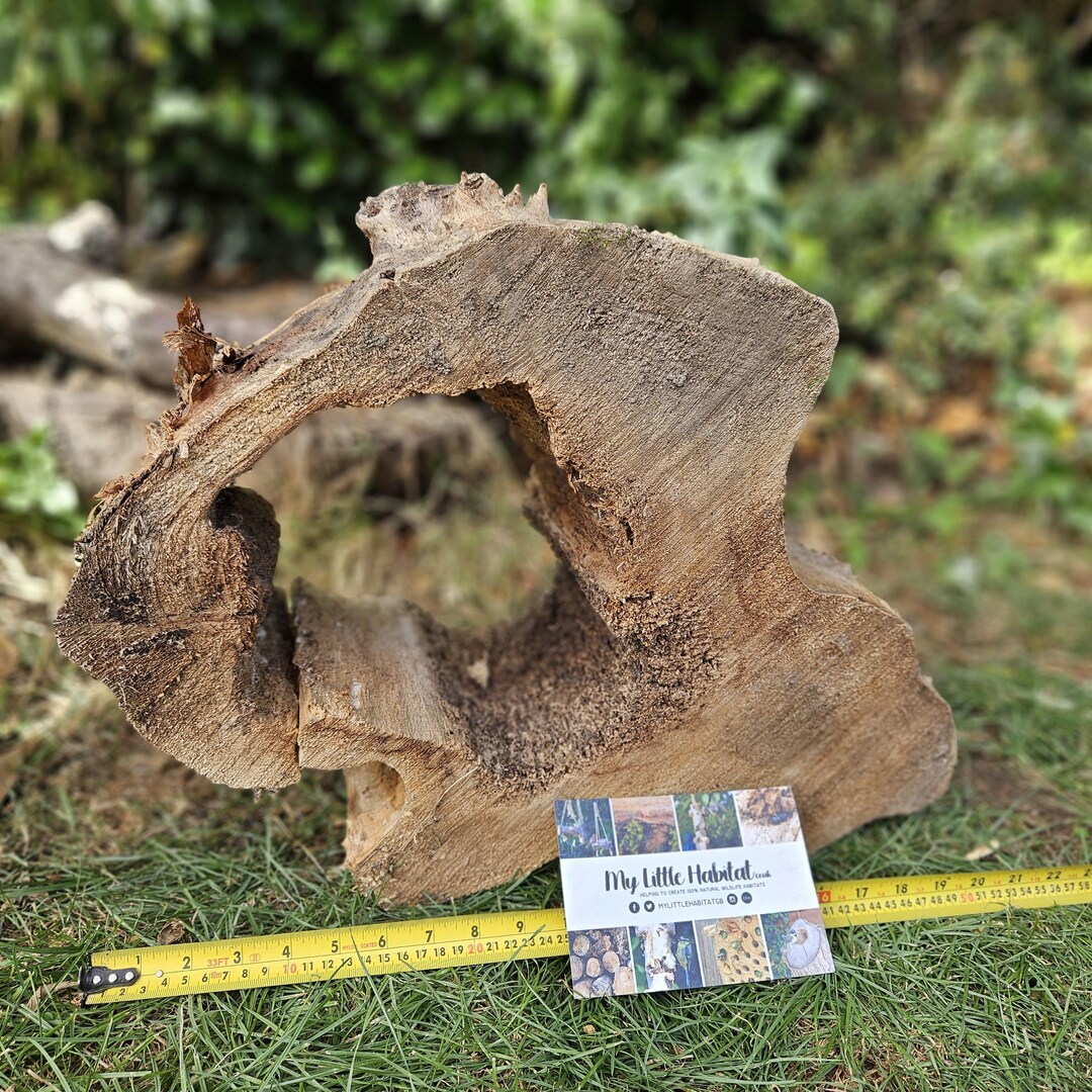 Garden Feature Log natural Sculpture, Pond, Garden, Habitat