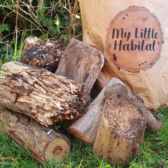 Log Pile Habitat Pack environment Natural Garden Etsy