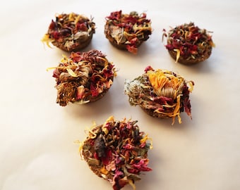 Strawberry Banana Biscuits for small pets