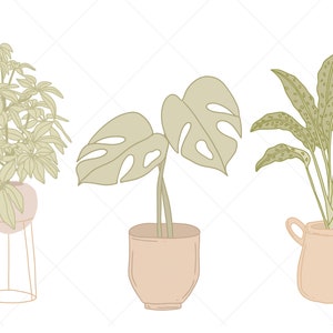 May include: Three potted plants with different types of leaves. The plants are in terracotta pots with a light brown color. The plant on the left has large, round leaves. The plant in the middle has large, heart-shaped leaves. The plant on the right has long, narrow leaves with a speckled pattern.