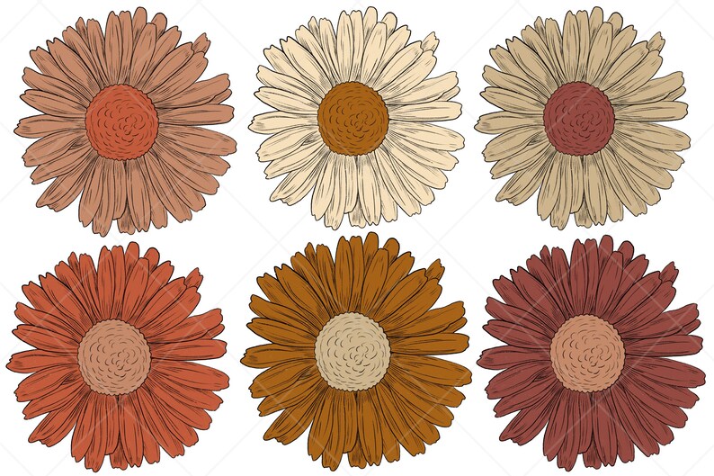Pu&ograve; includere: Sei illustrazioni di margherite in varie tonalit&agrave; di marrone, arancione e rosso. Le margherite sono disegnate in modo semplice e stilizzato.