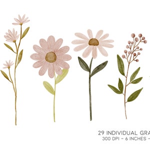 Watercolor wild flower graphics clipart bundle