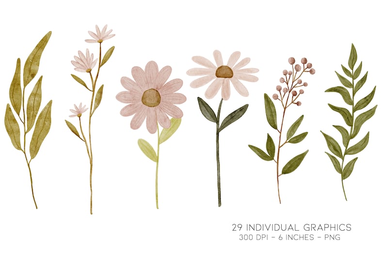 Watercolor wild flower graphics clipart bundle