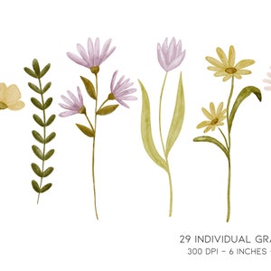 May include: A set of watercolor illustrations of various flowers, including yellow, pink, and purple flowers with green stems and leaves. The flowers are isolated on a white background.
