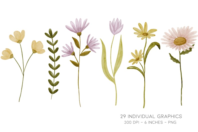 May include: A set of watercolor illustrations of various flowers, including yellow, pink, and purple flowers with green stems and leaves. The flowers are isolated on a white background.