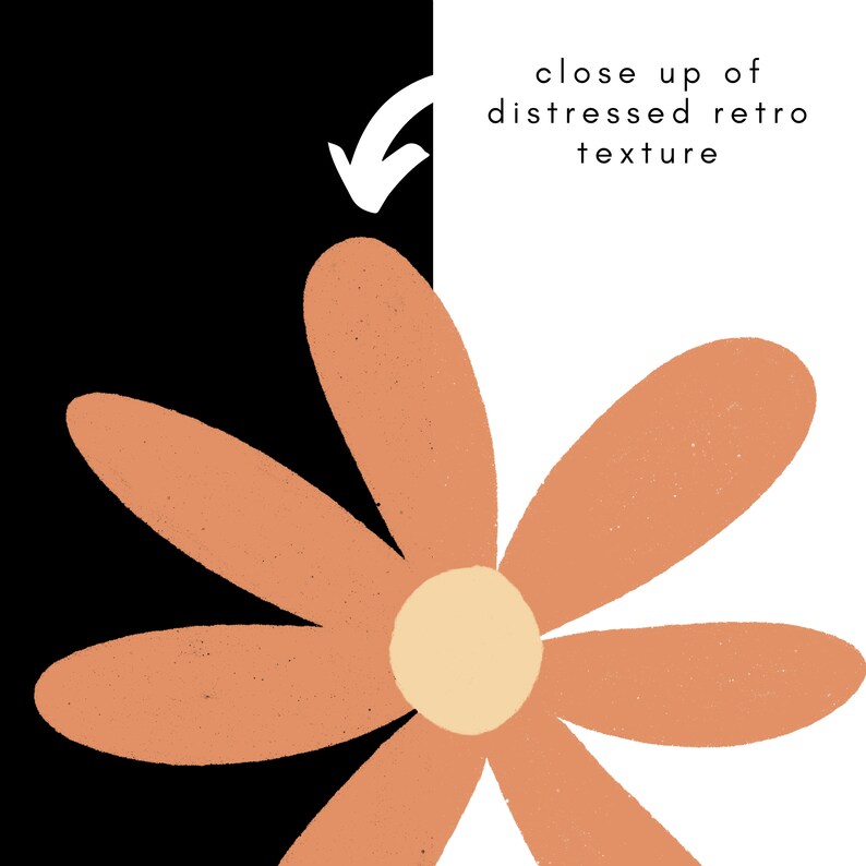 May include: A close-up of a distressed retro texture, featuring a peach-colored flower with a yellow center. The flower has six petals and is set against a black and white background.