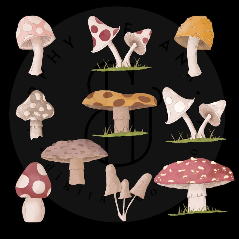 Watercolor Mushroom Clipart Mushroom Png Woodland Clipart Etsy