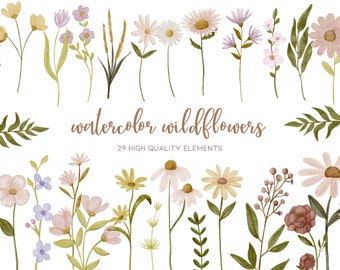 Spring Clipart, Wildflower Clipart, Daisy Clipart, Simple Flower Clipart, Wild Flower Clipart, Floral Clipart, Minimal Clipart, Greenery Png
