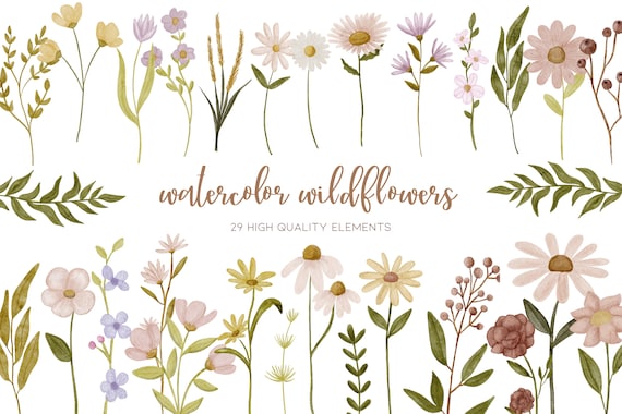 Spring Clipart, Wildflower Clipart, Daisy Clipart, Simple Flower Clipart, Wild Flower Clipart, Floral Clipart, Minimal Clipart, Greenery Png