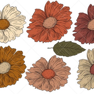 Pu&ograve; includere: Sei illustrazioni di fiori disegnate a mano in varie tonalit&agrave; di marrone, beige e rosso. I fiori hanno uno stile semplice e minimalista.