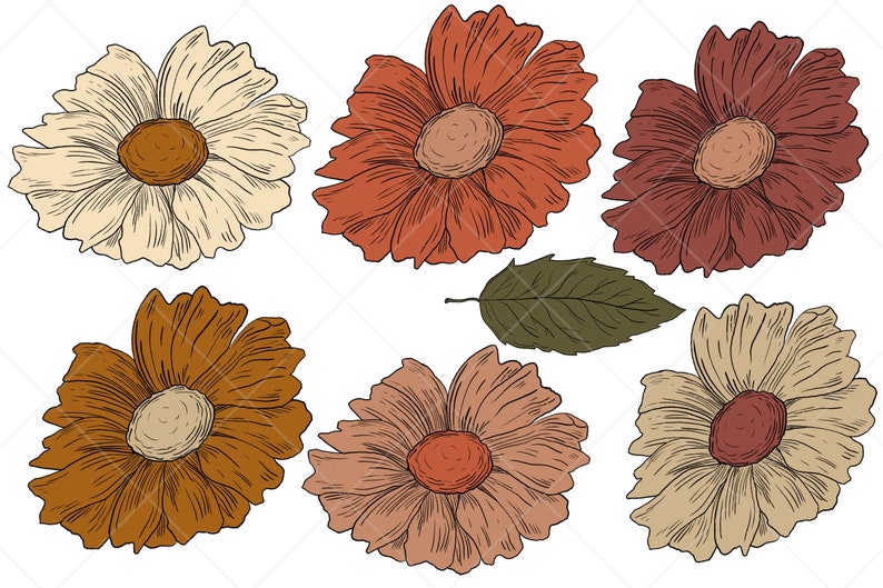 Pu&ograve; includere: Sei illustrazioni di fiori disegnate a mano in varie tonalit&agrave; di marrone, beige e rosso. I fiori hanno uno stile semplice e minimalista.