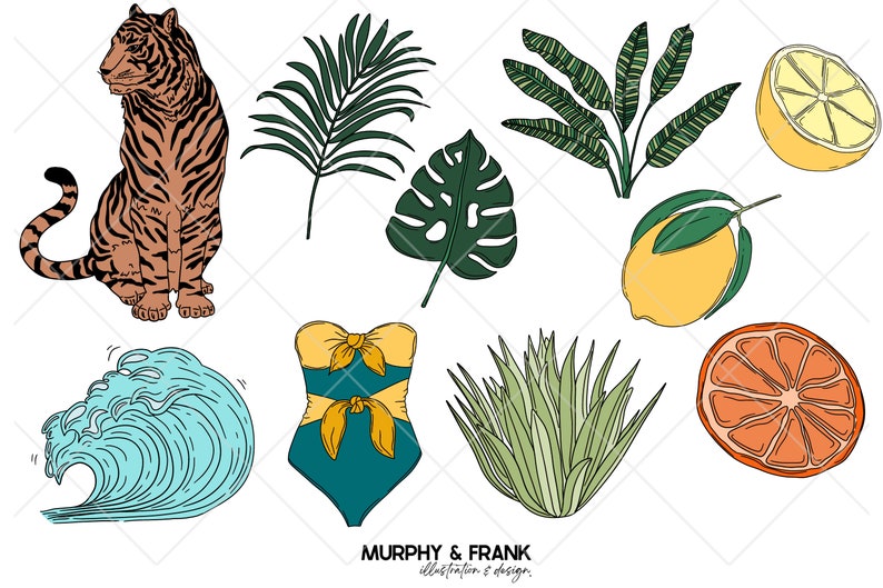 May include: A digital illustration of a tiger, a swimsuit, a wave, a lemon, an orange, a monstera leaf, a palm leaf, and a grass plant. The illustration is in a cartoon style and features bright colors.