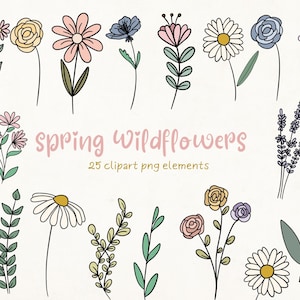 Clipart printemps, fleurs sauvages, clipart Daisy, fleurs de printemps des cliparts, des cliparts fleurs sauvages, des cliparts Floral, des cliparts d'été, des cliparts Boho