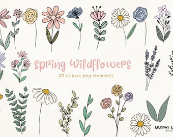 Clipart di primavera, clipart di fiori di campo, clipart di margherite, clipart di fiori primaverili, clipart di fiori di campo, clipart floreali, clipart estive, clipart boho