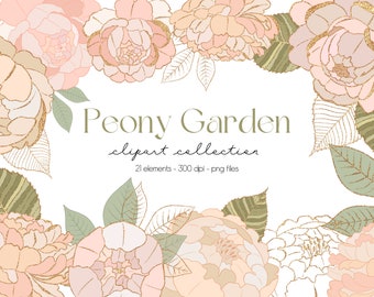 Peony Clipart, Neutral Flower Clipart, Pink Peonies Clipart, Peony Png, Gold Florals Clipart , Blush Pink and Gold Flowers Sublimation