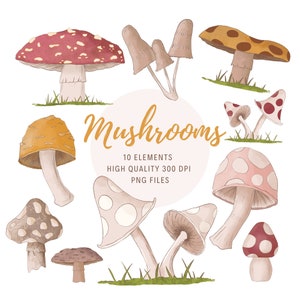 Aquarelle champignon clipart, Png champignon, clipart forêt, champignons Clip Art, clipart automne, clipart forêt d'automne, clipart Cottagecore,