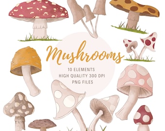 Clipart di funghi ad acquerello, Clipart di funghi in formato PNG, Clipart di boschi, Clipart di funghi, Clipart di autunno, Clipart di foreste autunnali, Clipart di cottagecore,