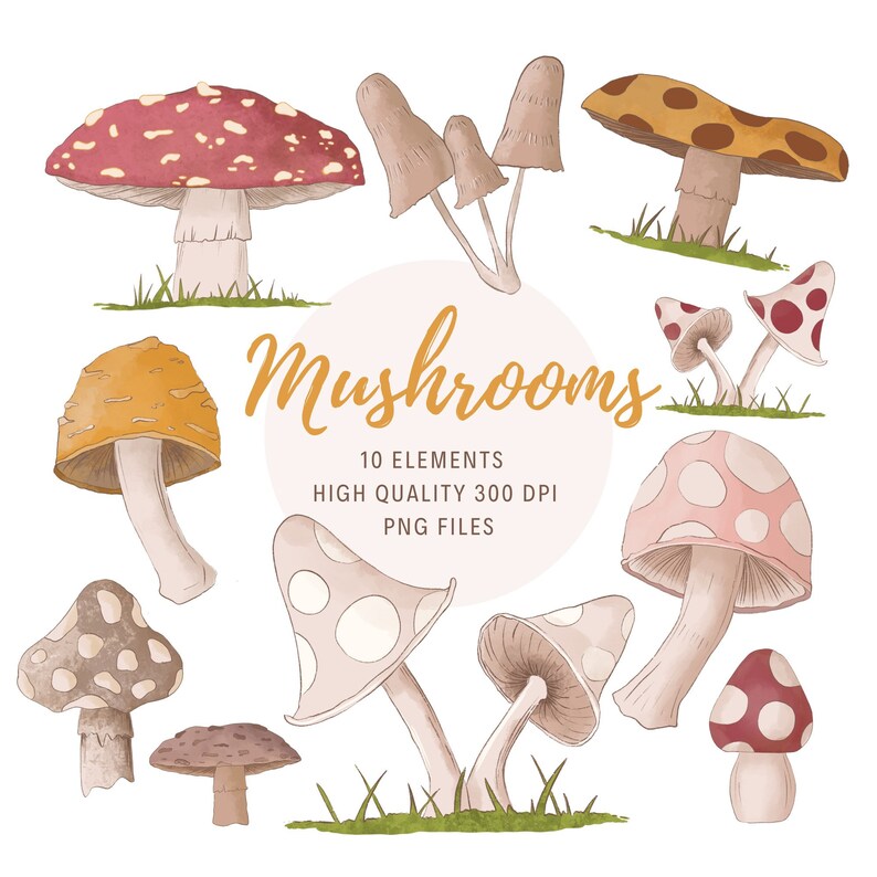 Watercolor Mushroom Clipart Mushroom Png Woodland Clipart Etsy