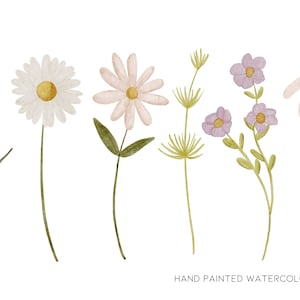 Spring Clipart, Wildflower Clipart, Daisy Clipart, Simple Flower Clipart, Wild Flower Clipart, Floral Clipart, Minimal Clipart, Greenery Png image 2