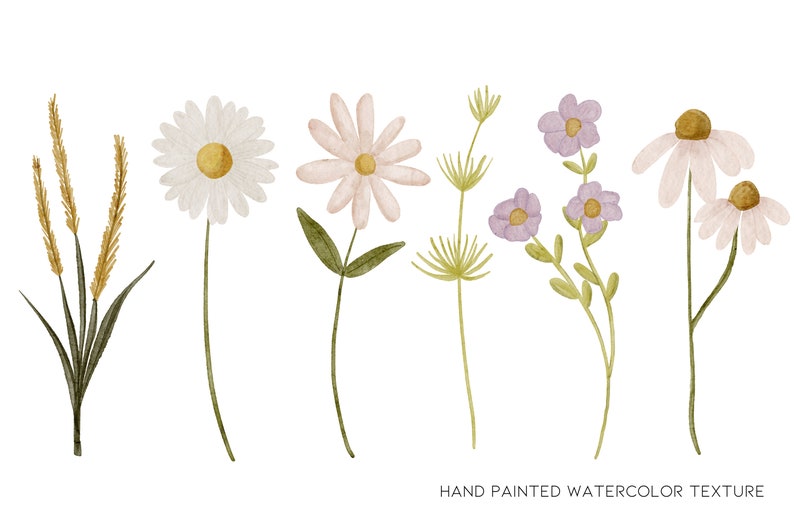 Spring Clipart, Wildflower Clipart, Daisy Clipart, Simple Flower Clipart, Wild Flower Clipart, Floral Clipart, Minimal Clipart, Greenery Png image 2