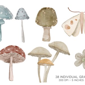 May include: A set of 38 watercolor illustrations featuring mushrooms, a butterfly, and a flower. The mushrooms are in various colors and styles, including red with white spots, brown with white spots, and light blue with white spots. The butterfly is white with brown spots and the flower is white with a brown center.
