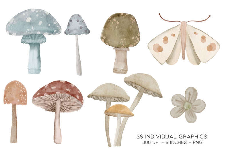 May include: A set of 38 watercolor illustrations featuring mushrooms, a butterfly, and a flower. The mushrooms are in various colors and styles, including red with white spots, brown with white spots, and light blue with white spots. The butterfly is white with brown spots and the flower is white with a brown center.