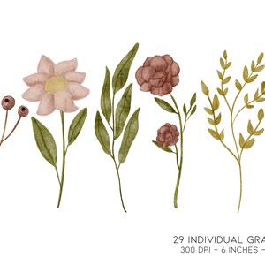 Spring Clipart, Wildflower Clipart, Daisy Clipart, Simple Flower Clipart, Wild Flower Clipart, Floral Clipart, Minimal Clipart, Greenery Png image 5