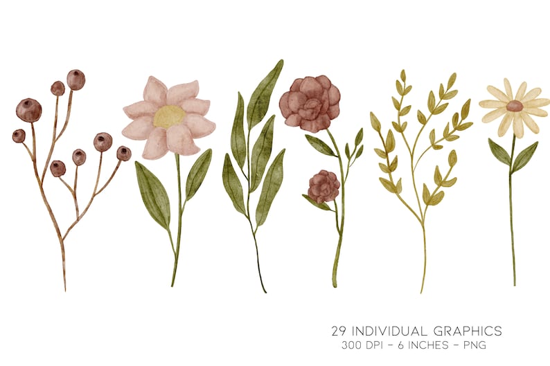 Spring Clipart, Wildflower Clipart, Daisy Clipart, Simple Flower Clipart, Wild Flower Clipart, Floral Clipart, Minimal Clipart, Greenery Png image 5