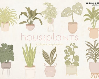Houseplant Clipart, Midcentury Modern Clipart, Plant Clipart, Boho Clipart, Cactus Clipart, Minimal Greenery Clipart, Monstera Clipart