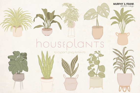 Houseplant Clipart, Midcentury Modern Clipart, Plant Clipart, Boho Clipart, Cactus Clipart, Minimal Greenery Clipart, Monstera Clipart