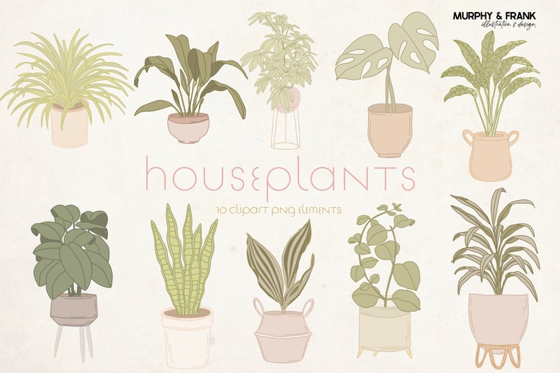 May include: A set of 10 hand-drawn illustrations of houseplants in pots. The plants are in various styles, including a monstera, snake plant, and a fern. The illustrations are in a minimalist style with muted green and brown colors.