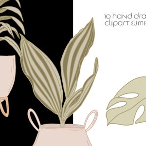 May include: Two hand-drawn illustrations of potted plants. The first plant has long, striped leaves and is in a light pink pot with a gold stand. The second plant has large, green leaves with holes and is in a light pink pot with two handles.
