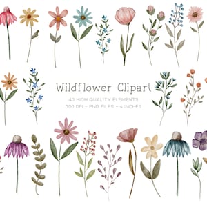 Imágenes prediseñadas de flores silvestres, imágenes prediseñadas de flores de acuarela, imágenes prediseñadas botánicas delicadas, imágenes prediseñadas de flores silvestres, imágenes prediseñadas florales de acuarela, flores de estilo cottage core