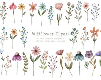 Wildflower Clipart, Watercolor Flower Clipart, Dainty Botanical Clipart, Wild Flower Png, Watercolor Floral Clipart, Cottage core Flowers