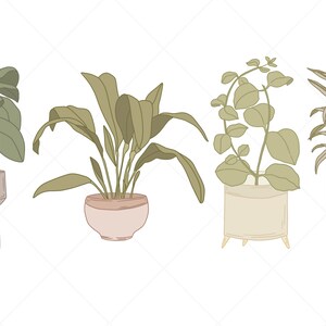 May include: Four potted plants with different types of foliage. The plants are in various colored pots and some have decorative stands.