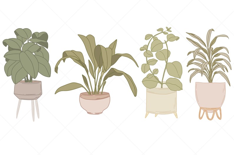 May include: Four potted plants with different types of foliage. The plants are in various colored pots and some have decorative stands.