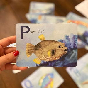 May include: A blue and white alphabet flashcard with the letter "P" and the words "Puffer Fish". A watercolor illustration of a brown and yellow puffer fish is on the card.