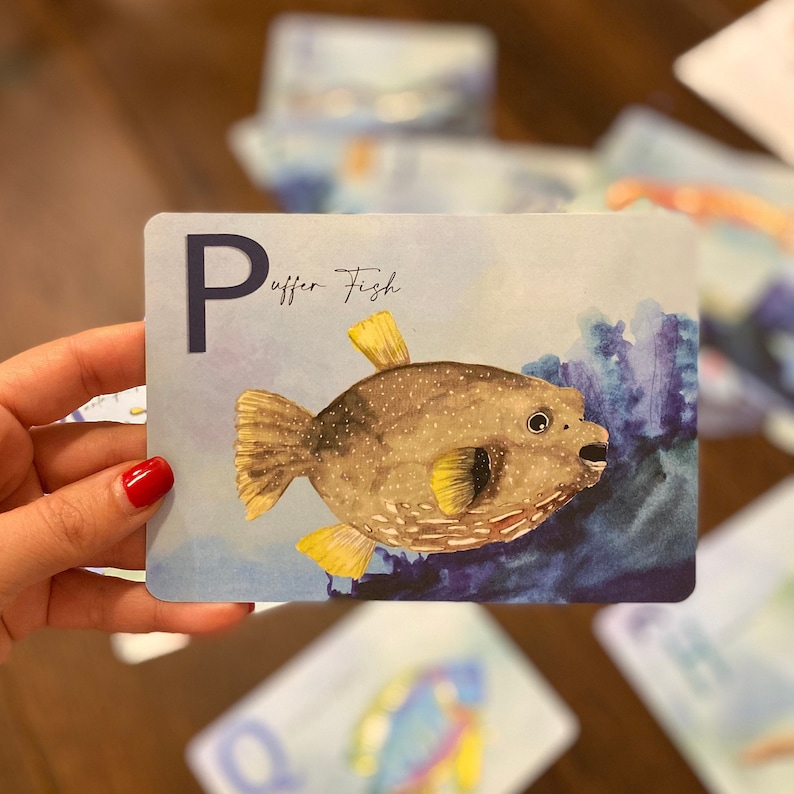 May include: A blue and white alphabet flashcard with the letter "P" and the words "Puffer Fish". A watercolor illustration of a brown and yellow puffer fish is on the card.