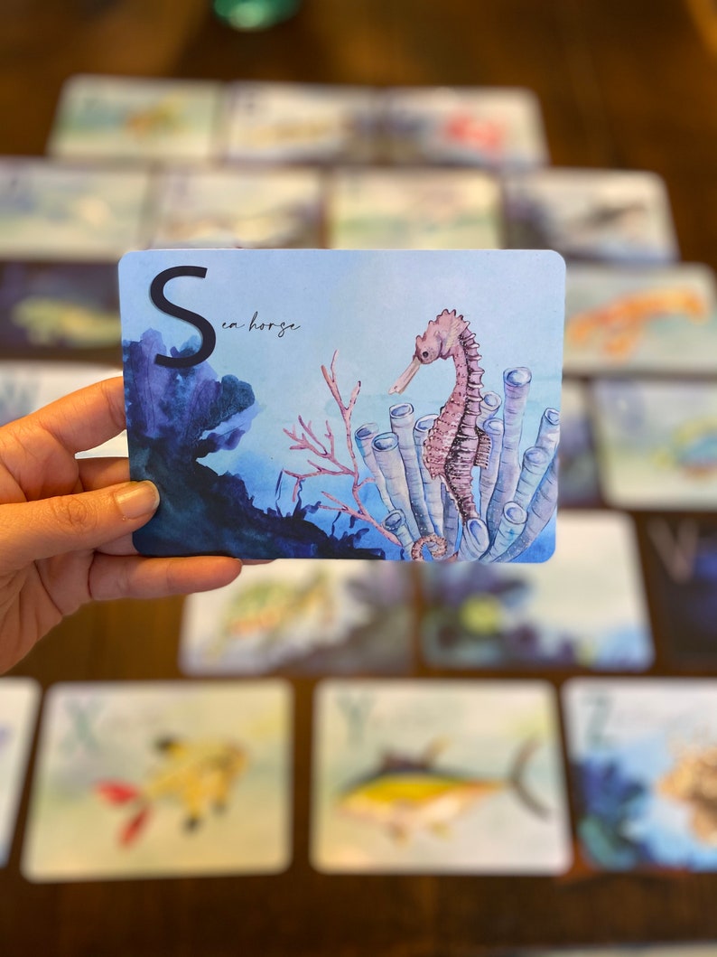 May include: A blue and white alphabet flashcard with the letter S and the word "sea horse" written in black. A pink seahorse is illustrated swimming in a coral reef.