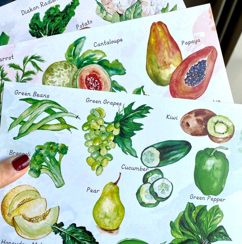 May include: A colorful illustration of various fruits and vegetables, including papaya, cantaloupe, green grapes, kiwi, cucumber, green pepper, pear, green beans, broccoli, and a honeydew melon. The illustration is on a light blue background with white text labels for each fruit and vegetable.