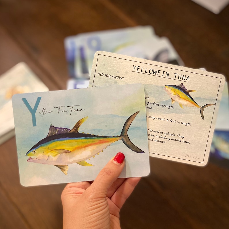 May include: A flashcard with the letter Y and the words "Yellow Fin Tuna" on a blue background with a watercolor illustration of a yellowfin tuna. The card also includes the text "Did you know?" and facts about yellowfin tuna.