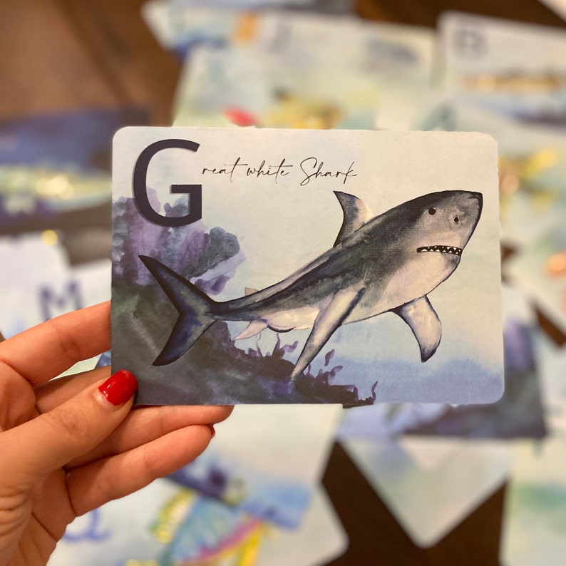 May include: A blue and white flashcard with the letter G and the words "Great White Shark". A watercolor illustration of a great white shark is shown swimming in the ocean.