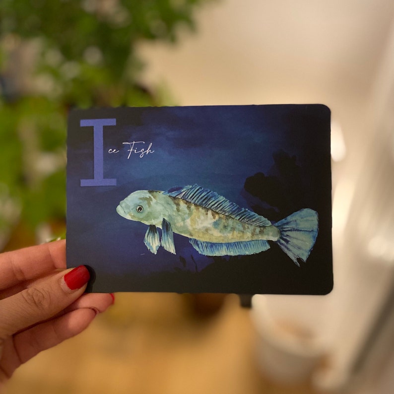 May include: A blue and white illustrated ice fish on a dark blue background with the letter "I" and the text "Ice Fish" in white.