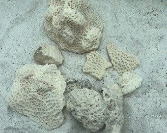 Coral Rock, Aquarium Decor, Beach Home Decor, Paper Weight, White Natural Coral, Ocean Decor, Fossil Rock, Center Pieces, Fossilized Coral