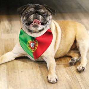 May include: A light brown pug dog wearing a bandana with the Portuguese flag design. The bandana is green and red with the Portuguese coat of arms in the center. The dog is lying down with its tongue out.