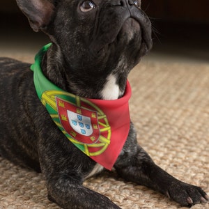 May include: A black French Bulldog wearing a bandana featuring the Portuguese flag. The dog is lying down on a woven mat, looking upwards. The bandana is red, green, and yellow, with the Portuguese coat of arms.